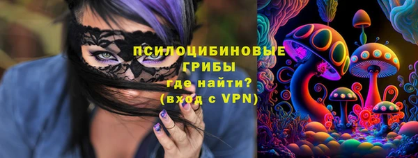 гидропоника Белокуриха